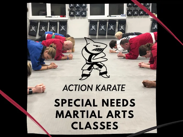 Action Karate Chalfont Picture 2