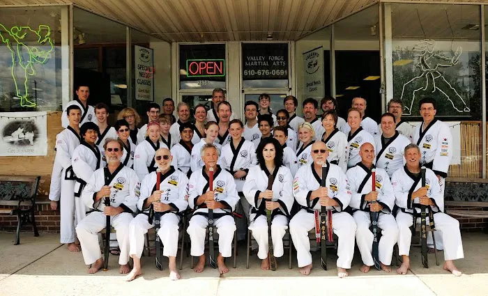 Vaughn's Dojang (Valley Forge Martial Arts) Picture 2