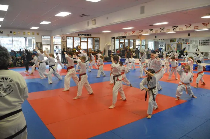 Vaughn's Dojang (Valley Forge Martial Arts) Picture 8