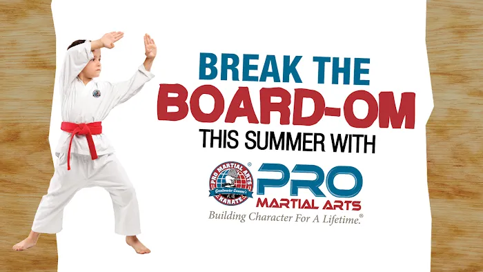 PRO Martial Arts Picture 3