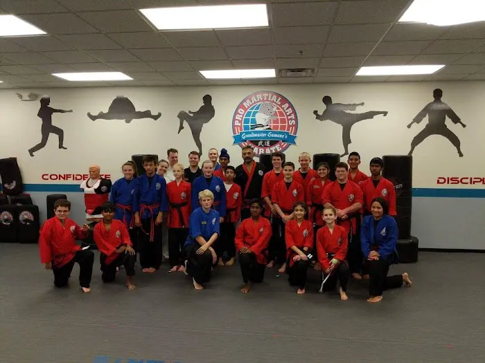 PRO Martial Arts Picture 6