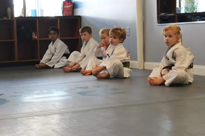 PRO Martial Arts Picture 4