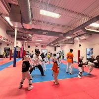 SKY Martial Arts Wayne ico