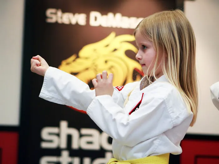 SDSS Martial Arts of Darien Picture 1
