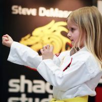 SDSS Martial Arts of Darien ico