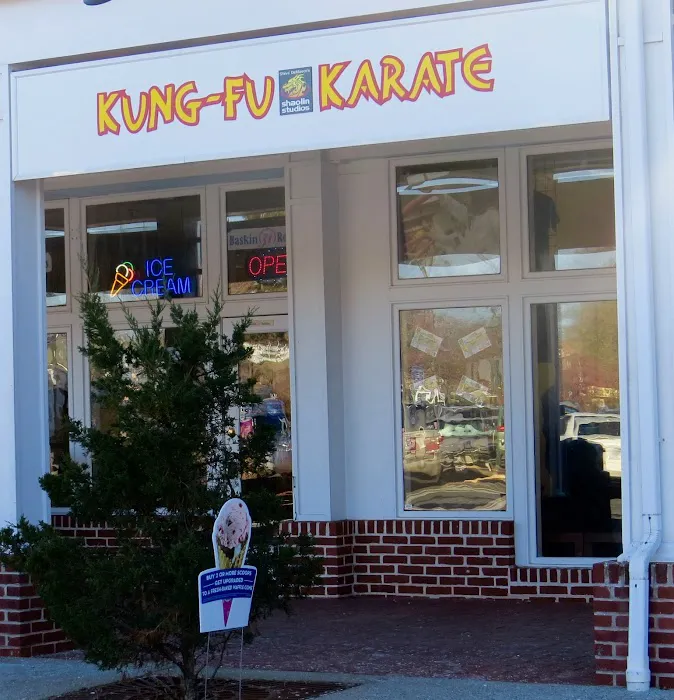 SDSS Martial Arts of Darien Picture 4