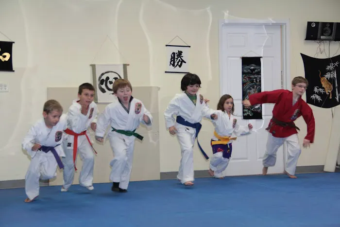 Old Greenwich Karate/Okinawa Arts Picture 2