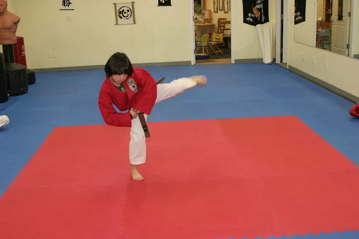 Old Greenwich Karate/Okinawa Arts Picture 5
