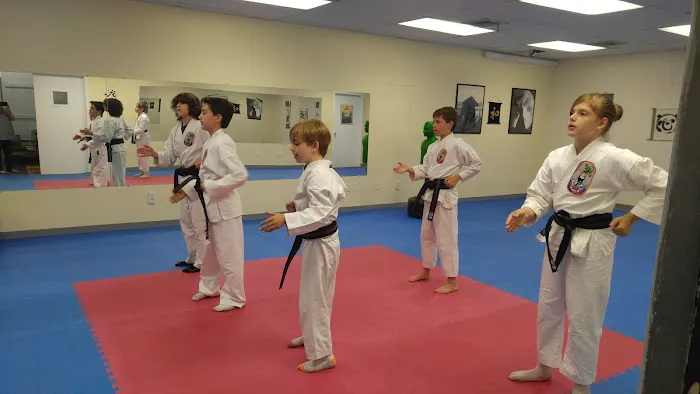 Old Greenwich Karate/Okinawa Arts Picture 6