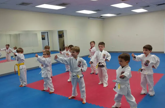 Old Greenwich Karate/Okinawa Arts Picture 7