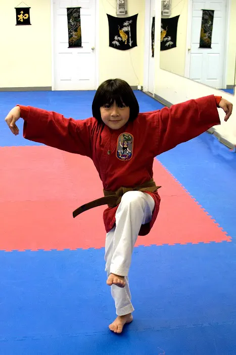 Old Greenwich Karate/Okinawa Arts Picture 8