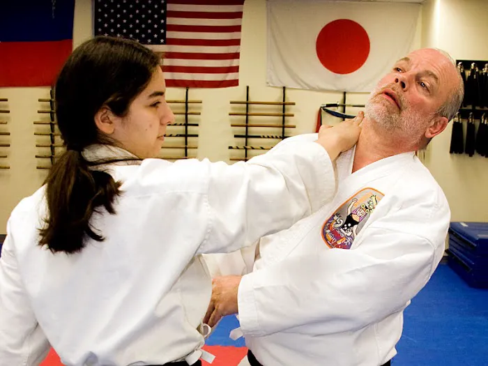 Old Greenwich Karate/Okinawa Arts Picture 10