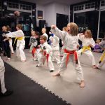 Legacy Martial Arts of Ridgefield