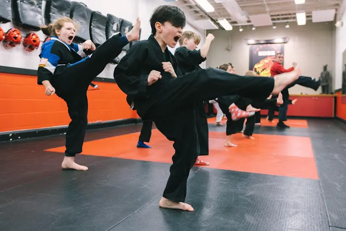 SDSS Martial Arts of Ridgefield Picture 1