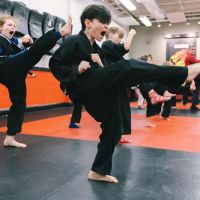 SDSS Martial Arts of Ridgefield ico