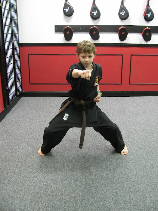 SDSS Martial Arts of Ridgefield Picture 3