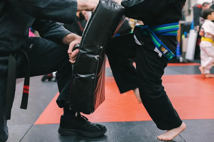 SDSS Martial Arts of Ridgefield Picture 6