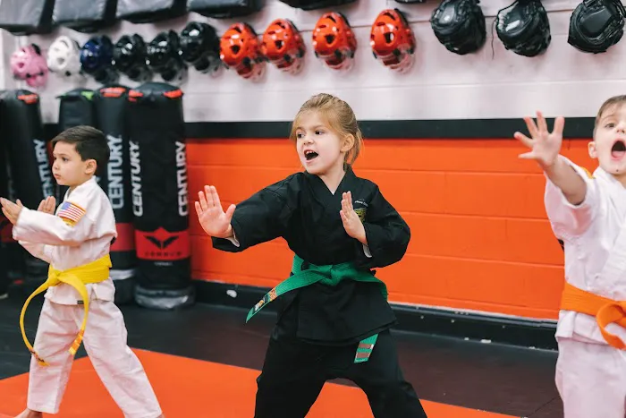 SDSS Martial Arts of Ridgefield Picture 5