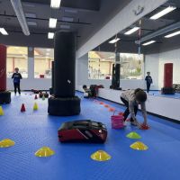 Newtown World Champion Taekwondo ico
