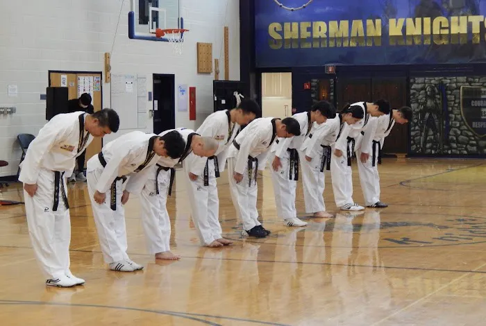 Newtown World Champion Taekwondo Picture 9