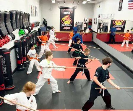 SDSS Martial Arts of Fairfield