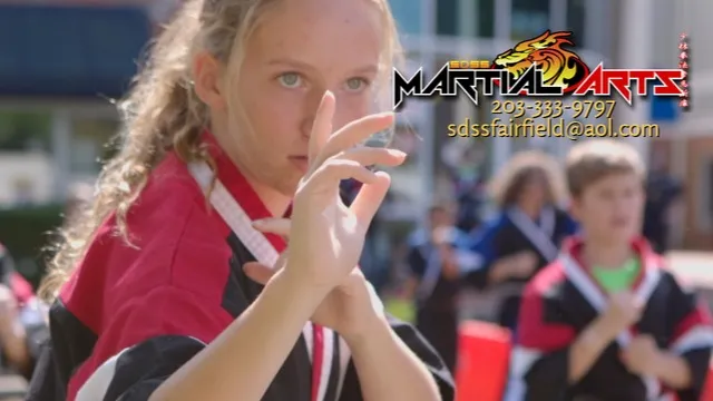 SDSS Martial Arts of Fairfield Picture 3