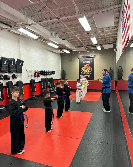 SDSS Martial Arts of Fairfield Picture 4