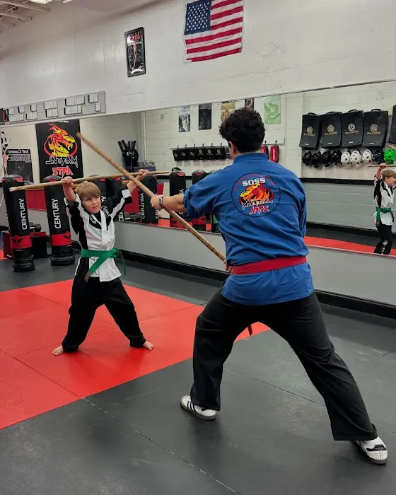 SDSS Martial Arts of Fairfield Picture 8