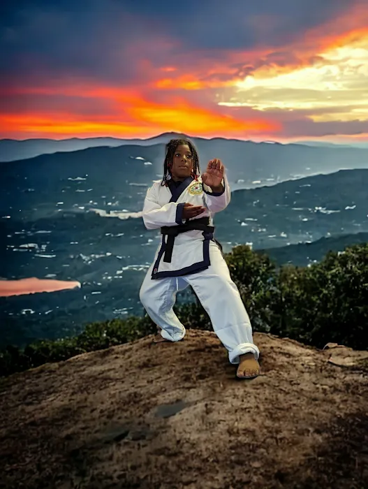Pure Martial Arts Fitness Academy Picture 3
