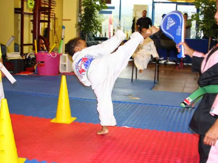 Pure Martial Arts Fitness Academy Picture 4