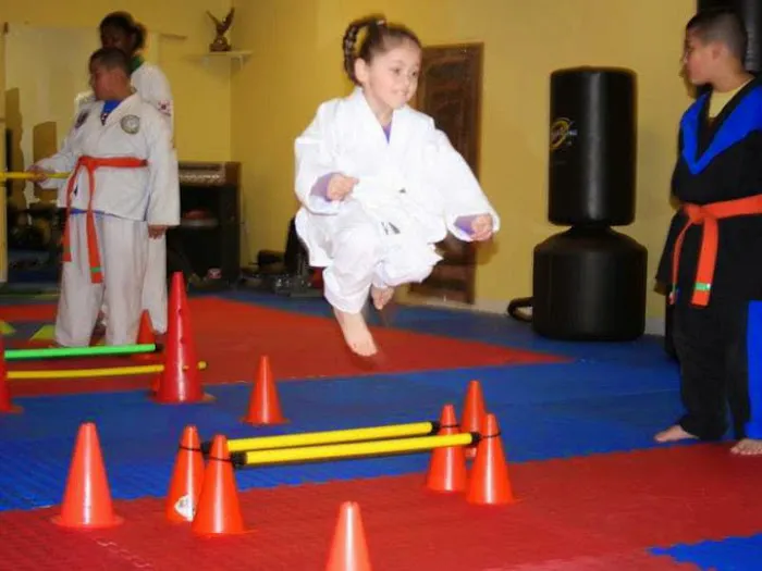 Pure Martial Arts Fitness Academy Picture 5