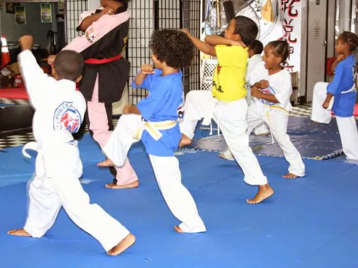 Pure Martial Arts Fitness Academy Picture 10