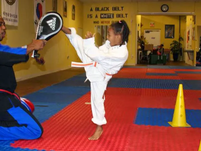 Pure Martial Arts Fitness Academy Picture 9