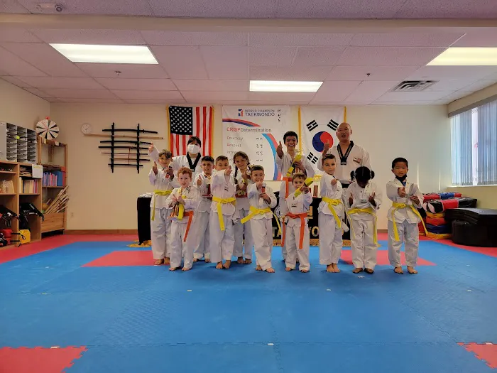 World Champion Taekwondo Milford Picture 3
