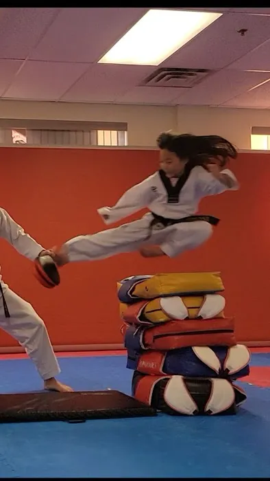 World Champion Taekwondo Milford Picture 5