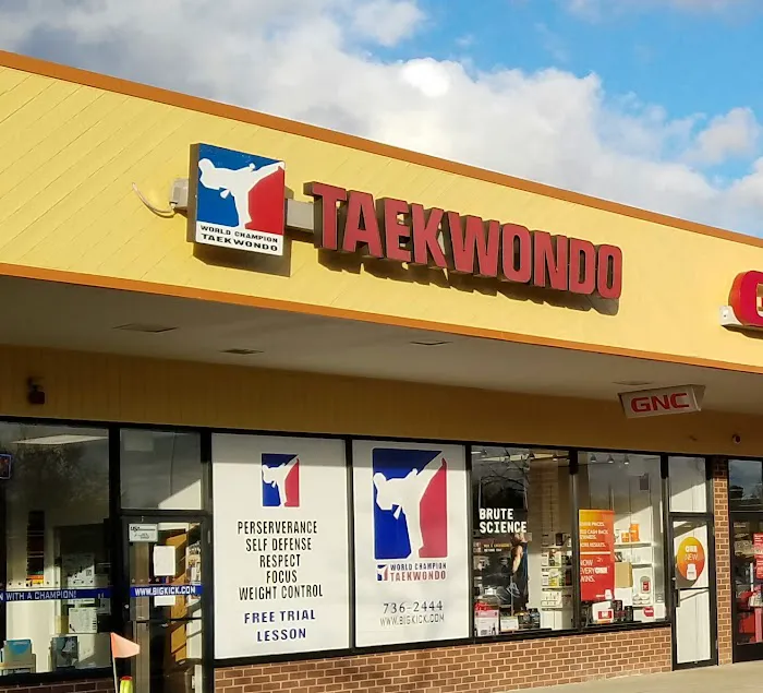 World Champion Taekwondo Milford Picture 9