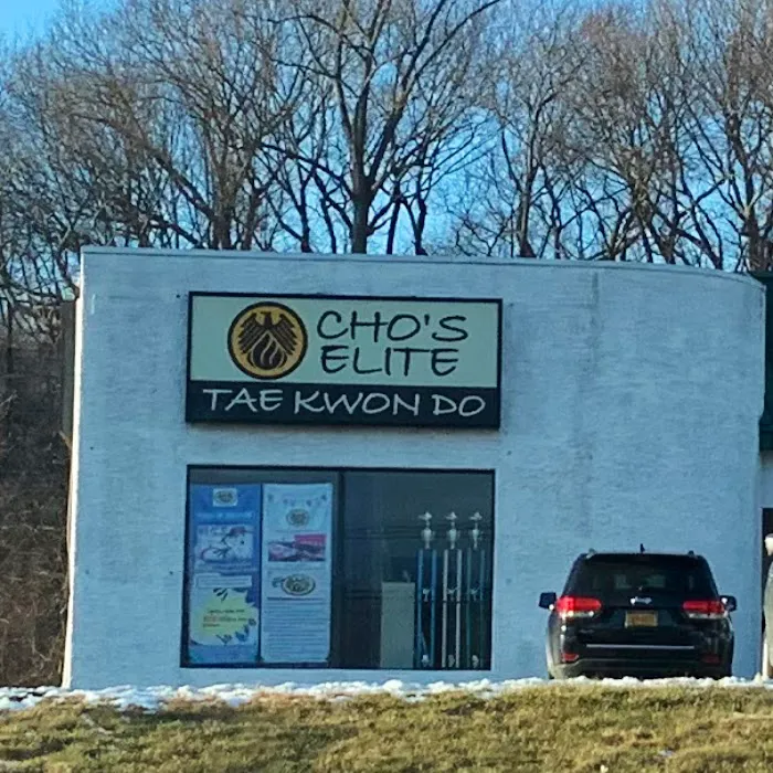 Cho's Elite Taekwondo Picture 3