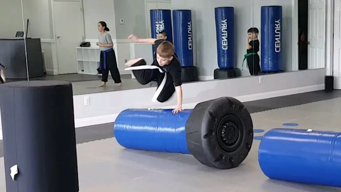 Grey’s Martial Arts Picture 5