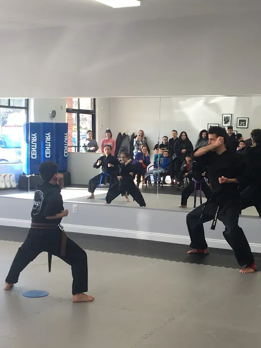Grey’s Martial Arts Picture 9