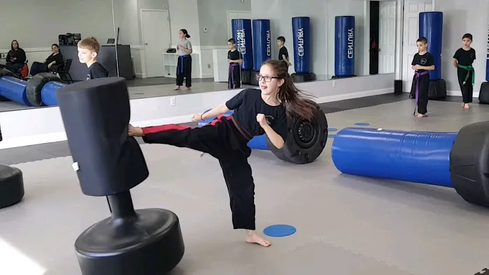 Grey’s Martial Arts Picture 10