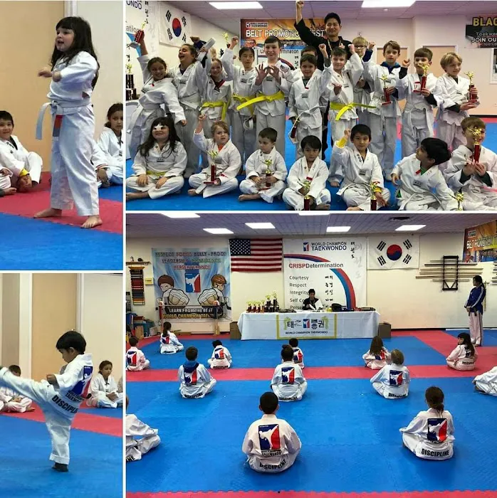 World Champion Taekwondo Southbury Picture 3