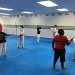 Hong's Olympic Taekwondo Academy