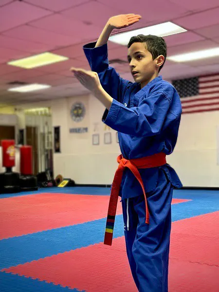 High Kick Tae Kwon Do & Martial Arts Picture 7