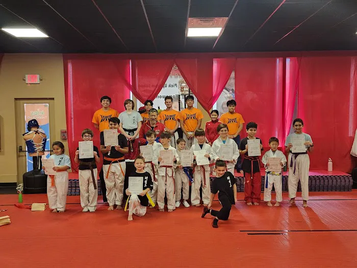 Ultimate Taekwondo martial arts Picture 2