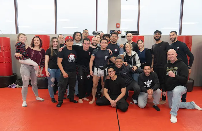 Tiger Schulmann's Martial Arts (Hauppauge, NY) Picture 5