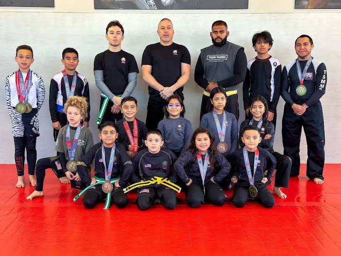 Tiger Schulmann's Martial Arts (Hauppauge, NY) Picture 9