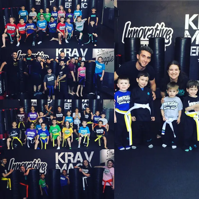 Innovative Martial Arts & Krav Maga Defiance Picture 2