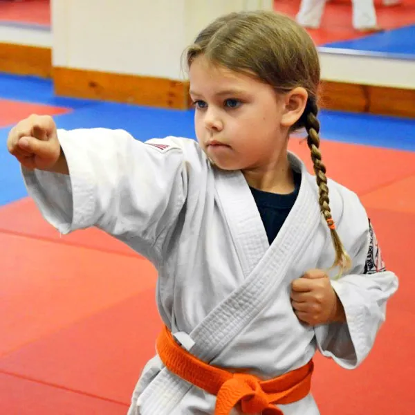 Nokado School of Self Defense Picture 5