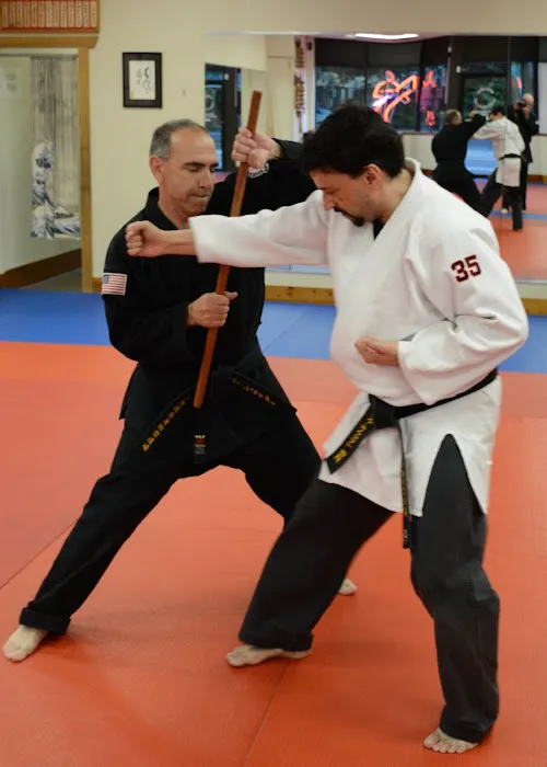 Nokado School of Self Defense Picture 8