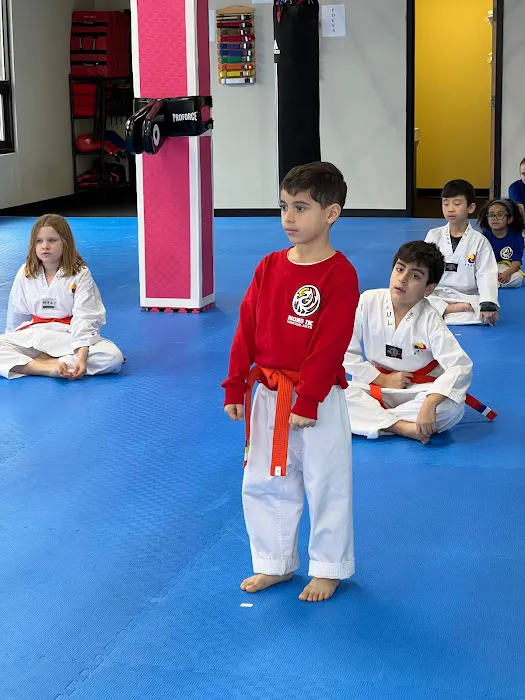 Hong Ik Martial Arts Picture 4